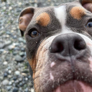 Meet your Posher, Kai